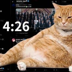 Cat Gatekeeper Chrome Extension Launches on April 27, 2026