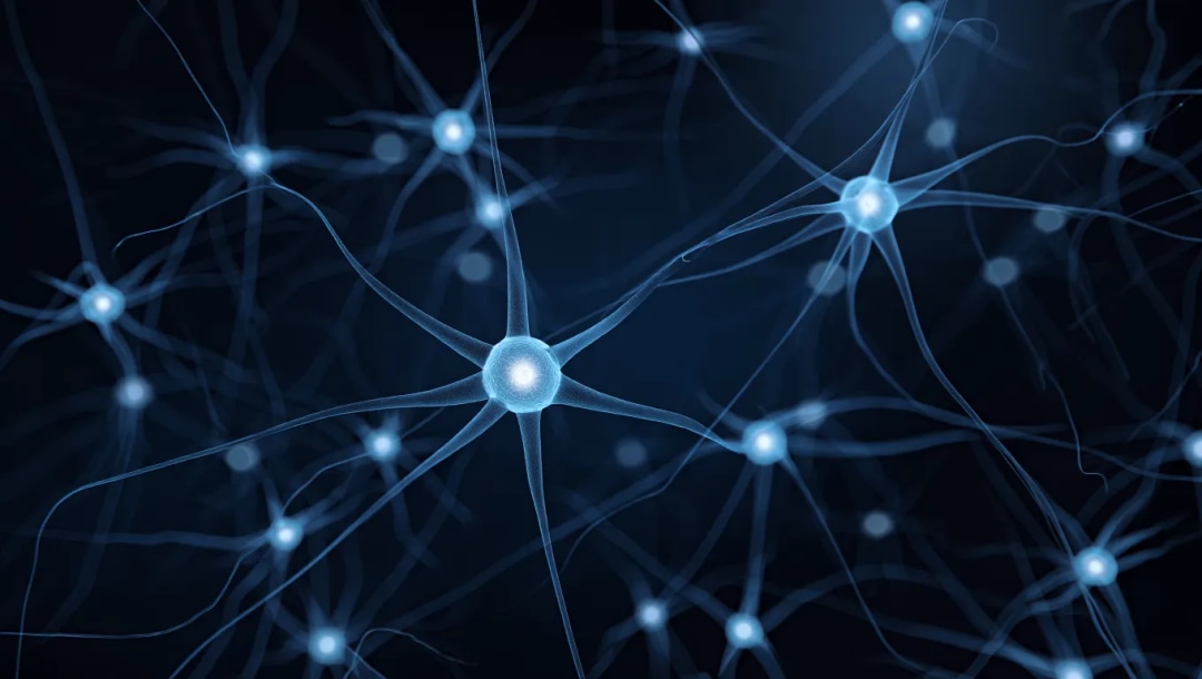 Qué es el atlas celular del Alzheimer